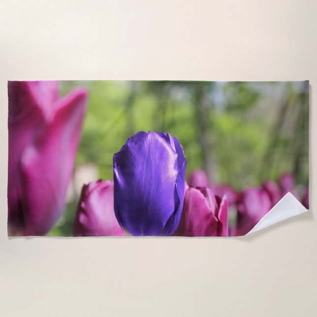 Toalla De Playa Tulipán púrpura simple (Anverso)