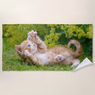 Toalla De Playa Un gatito de gatito lindo y divertido jugando en u