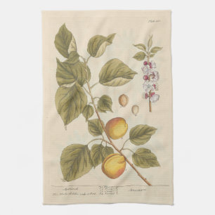Toalla de té Albaricoque de Elizabeth Blackwell