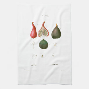 TOALLA DE TÉ: BOTÁNICO: REDOUTÉ : FIGS