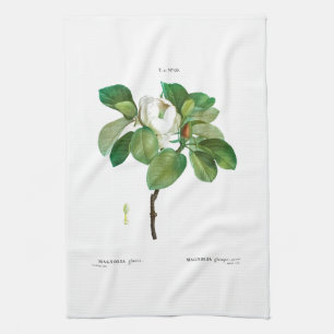 TOALLA DE TÉ: BOTÁNICO: REDOUTÉ : MAGNOLIA