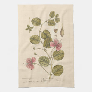 Toalla de té Caper de Elizabeth Blackwell
