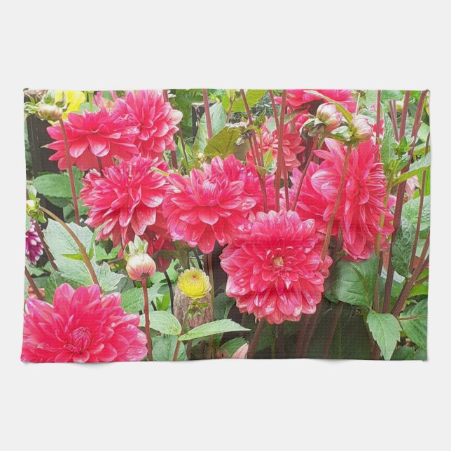 Toalla de té de dalias rosa intenso (Horizontal)