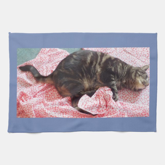 Toalla de té de Dave Tailor (Horizontal)