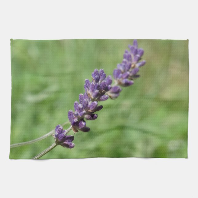 Toalla de té de la foto del Stalk de Lavender (Horizontal)