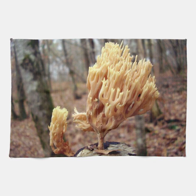 Toalla de té de la viscosa de Calocera (Horizontal)