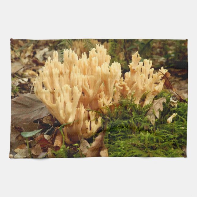 Toalla de té de los hongos del stricta de Ramaria (Horizontal)