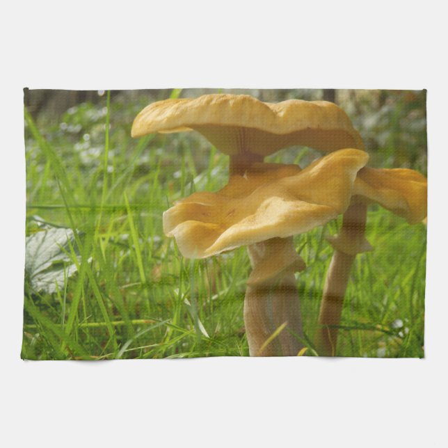 Toalla de té de Miel Fungus (Horizontal)