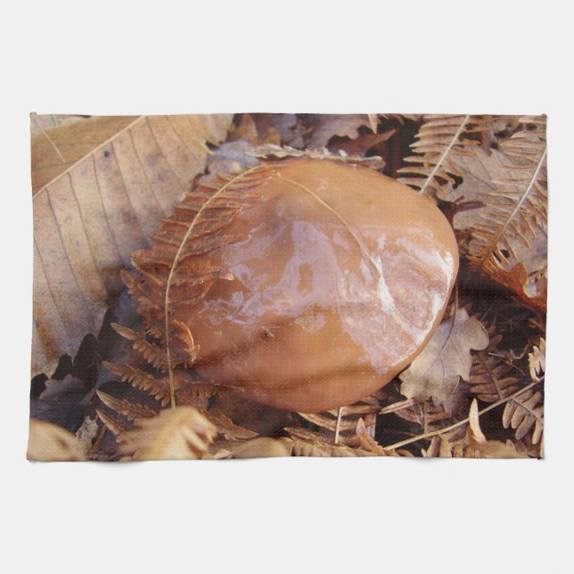 Toalla de té de setas Slippery Jack (Horizontal)