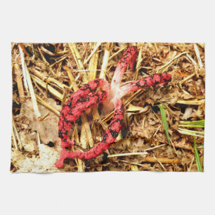 Toalla de té de Stinkhorn de Octopus