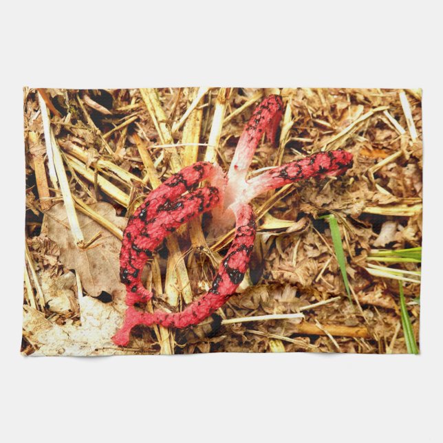 Toalla de té de Stinkhorn de Octopus (Horizontal)