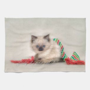 Toalla de té del gatito de Ragdoll
