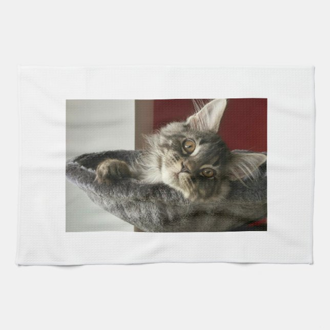 Toalla de té del gatito del Coon de Maine (Horizontal)