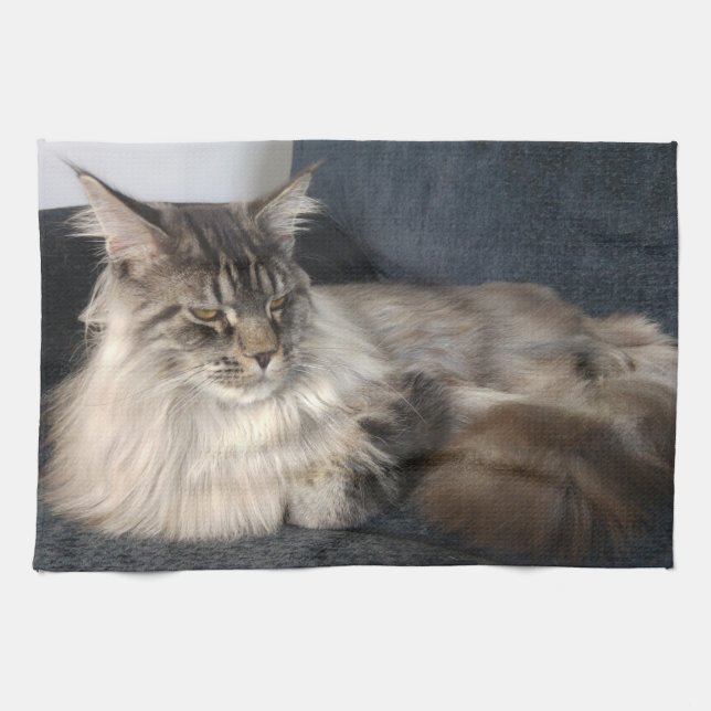 Toalla de té del gato de Coon de Maine (Horizontal)