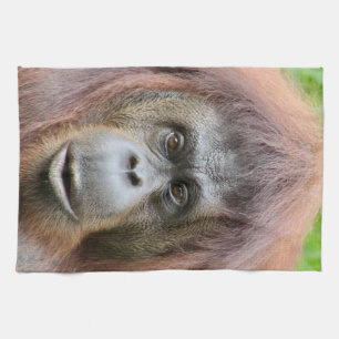 Toalla de té del orangután