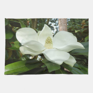 Toalla de té grandiflora de la magnolia