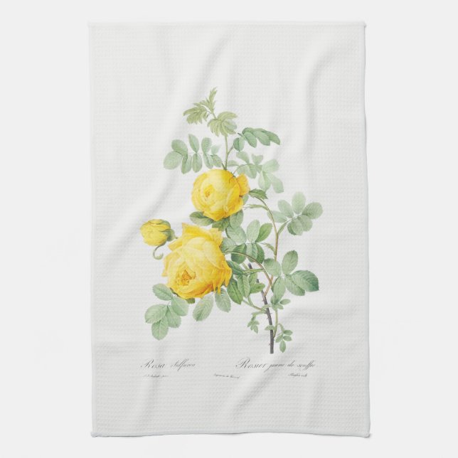 TOALLA DE TÉ: REDOUTÉ : ROSE AMARILLO (Vertical)