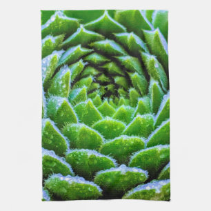 Toalla de té verde para la fotografía de la natu