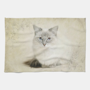 toalla del gato del ragdoll