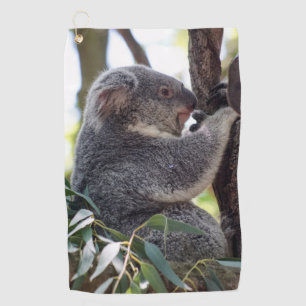 Toalla del golf del oso de koala