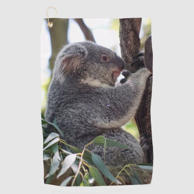 Toalla del golf del oso de koala (Anverso)