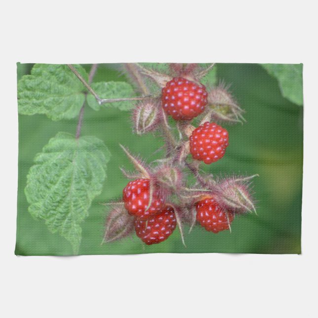Toalla Raspberry Dish (Horizontal)