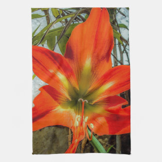 Toallas de cocina de Amaryllis en primer plano