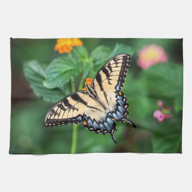 Toallas de cocina de mariposa (Horizontal)