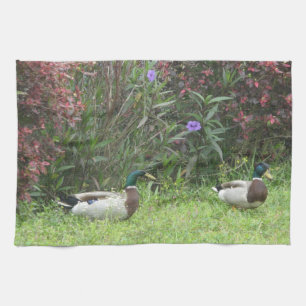 Toallas de cocina de pato macho mallard