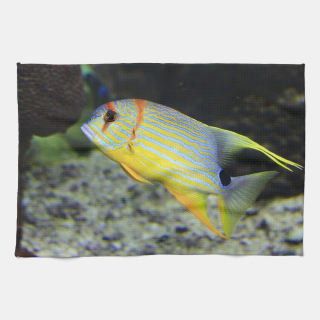 Toallas de cocina de pescado (Horizontal)