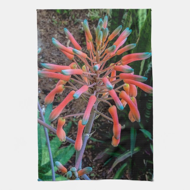 Toallas de cocina de planta de aloe en flor (Vertical)