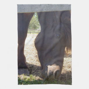 Toallas de cocina islandesas del caballo