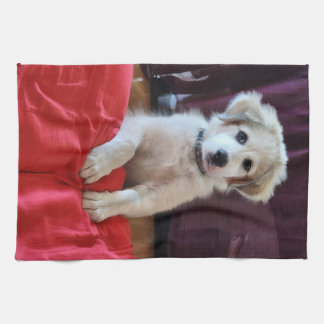 Toallas de cocina para cachorros felices