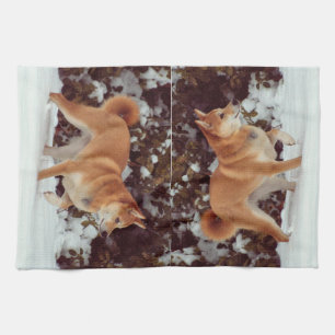 Toallas de cocina Shiba Inu