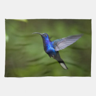 TOALLAS DEL COLIBRÍ