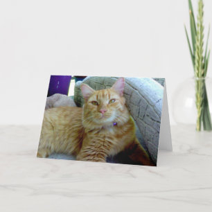 Toby la tarjeta de felicitación del gato