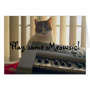 ¡Toca algo de Meowsic!