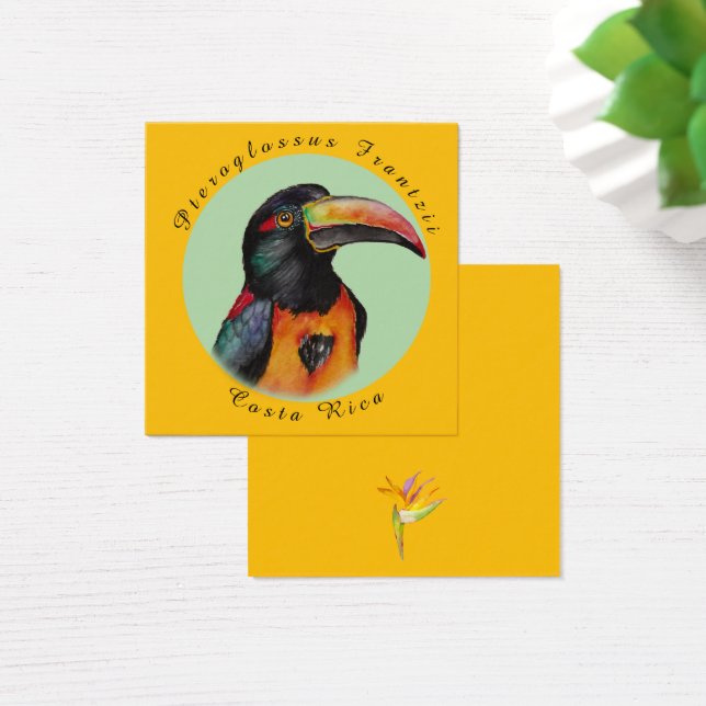 Tocan acuarela (Escritorio)