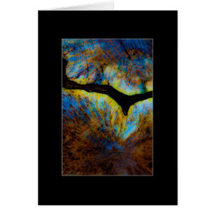 Tocón Abstracto