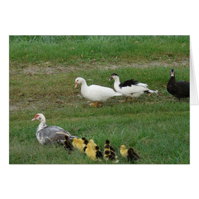 Toda la familia (Anverso (Horizontal))