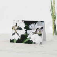 Toda la tarjeta de felicitación de la ocasión