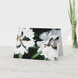 Toda la tarjeta de felicitación de la ocasión