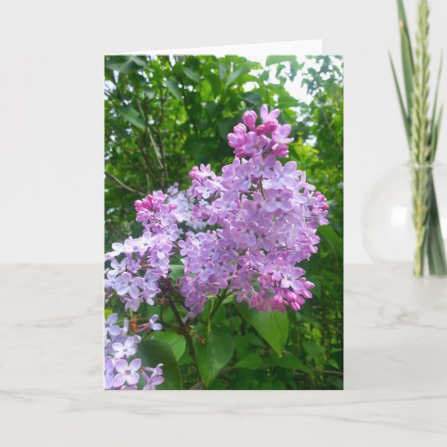 Toda la tarjeta de felicitación de la ocasión (Anverso)