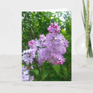 Toda la tarjeta de felicitación de la ocasión