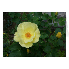 Toda la tarjeta de la ocasión