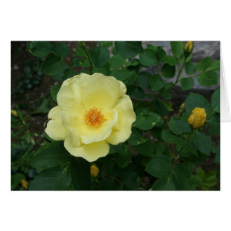 Toda la tarjeta de la ocasión