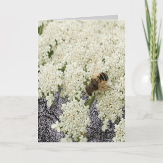 Toda la tarjeta del cuero del negro del cordón de