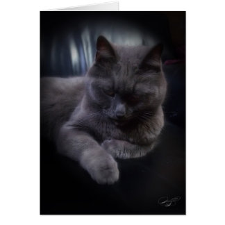 Toda la tarjeta (en blanco) de las ocasiones