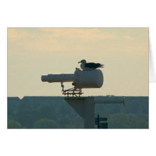 Toda su base es pertenece a nosotros