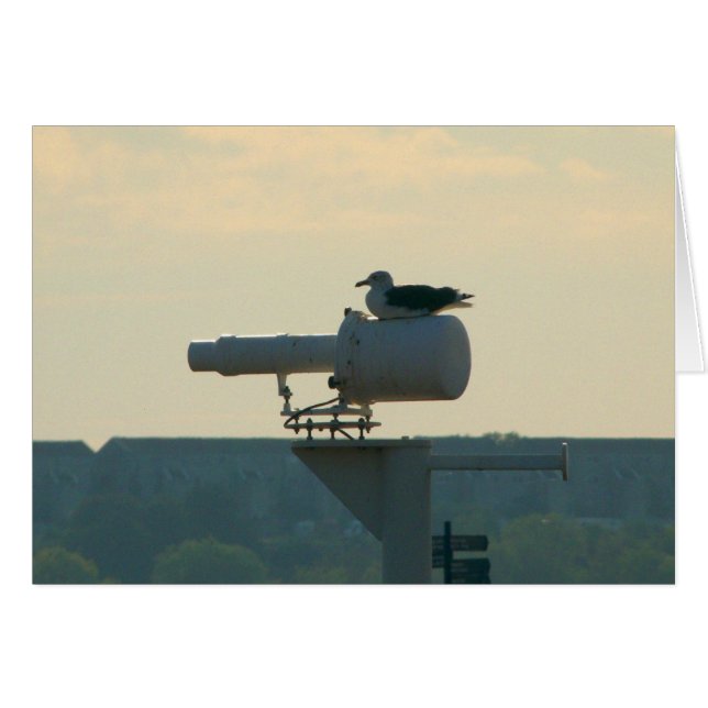 Toda su base es pertenece a nosotros (Anverso (Horizontal))